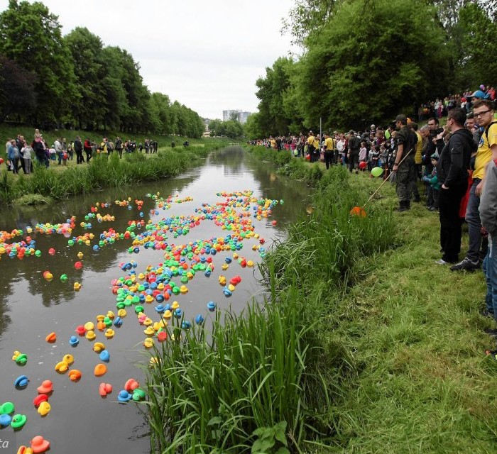 Poznaliśmy laureatów konkursu Zaadoptuj rzekę 2015