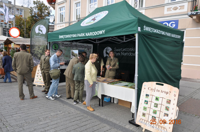 Po raz kolejny doceniliśmy &#8220;Dary Świętokrzyskich Lasów&#8221;