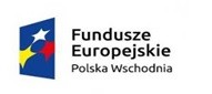 Tworzenie sieciowych produktów przez MŚP w Polsce Wschodniej