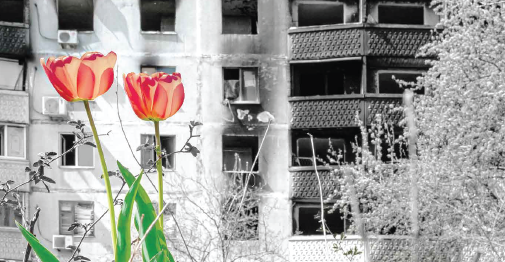 Zdjęcie Budynku W Charkowie, Na Pierwszym Planie Dwa Tulipany
