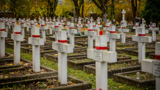 Groby Na Cmenatzru Wojskowym (2)