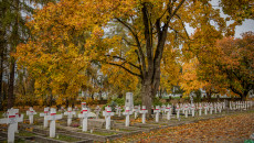 Groby Na Cmentarzu Wojskowym