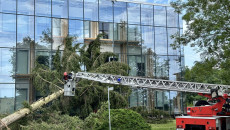 Trwa naprawianie szkód po burzy w Muzeum Wsi Kieleckiej i Centrum Nauki Leonardo da Vinci