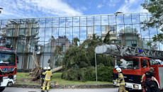 Trwa naprawianie szkód po burzy w Muzeum Wsi Kieleckiej i Centrum Nauki Leonardo da Vinci