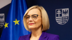 marszałek Renata Janik,